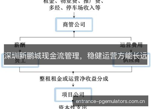深圳新鹏城现金流管理，稳健运营方能长远